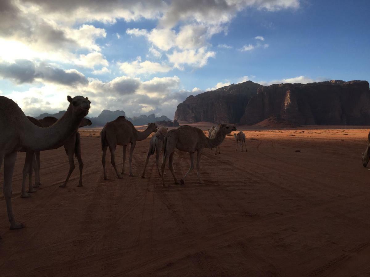 Hotel Desert Guide Camp Wadi Rum Exterior foto